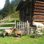 Haeuserl Im Wald グレーブミング