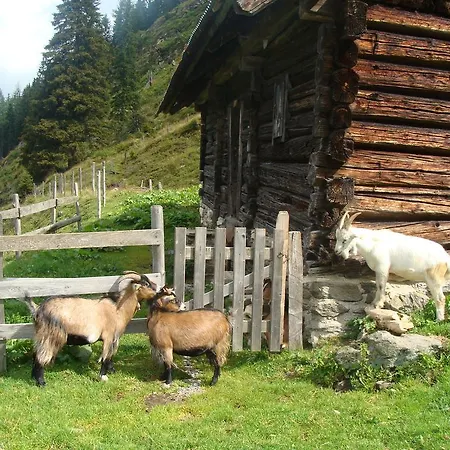 Landhotel Hauserl Im Wald Grobming