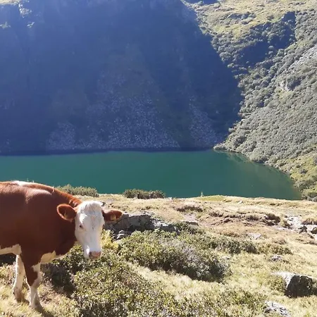 Hotel Haeuserl Im Wald 4*