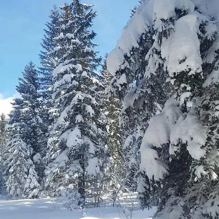 Отель Haeuserl Im Wald 4*
