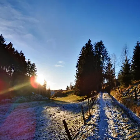 Haeuserl Im Wald Hotel