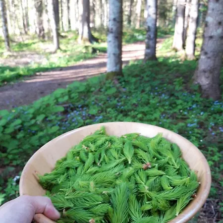 Haeuserl Im Wald Отель 4*