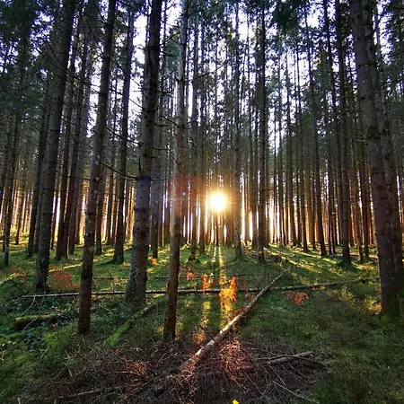 Haeuserl Im Wald Hotel 4*