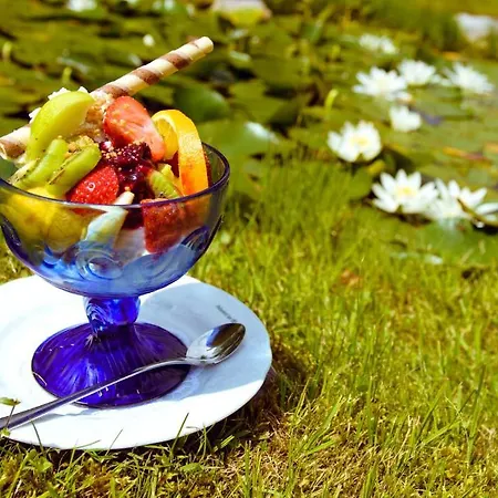 Haeuserl Im Wald 4* Grobming