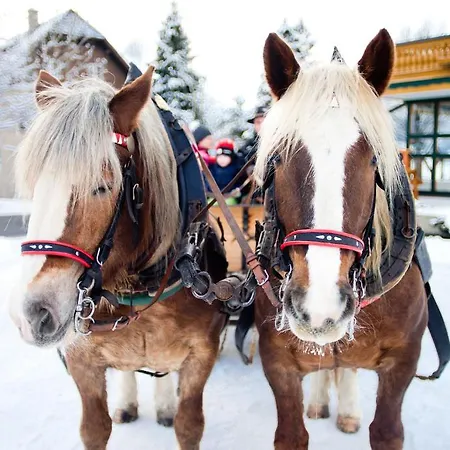 Hotel Haeuserl Im Wald Grobming