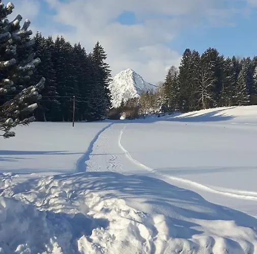 Haeuserl Im Wald Отель 4*