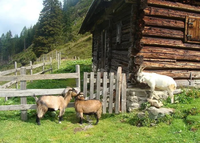 Häuserl Im Wald Grobming