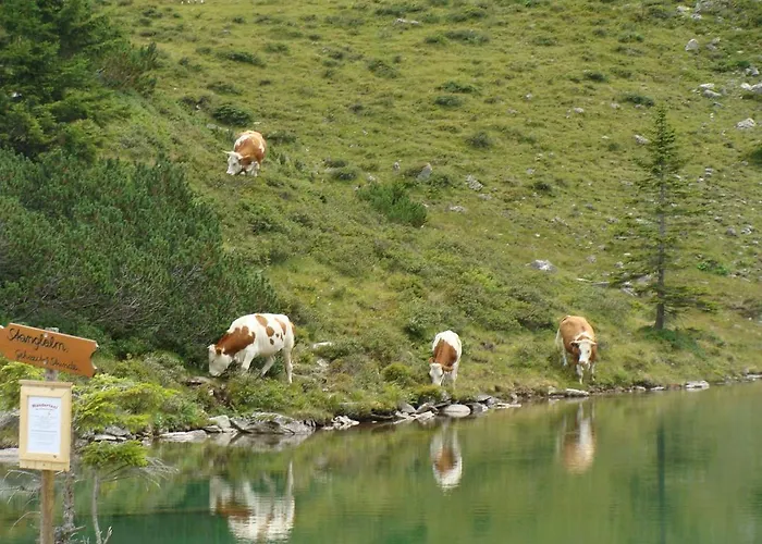 فندق Landhotel Hauserl Im Wald 4*