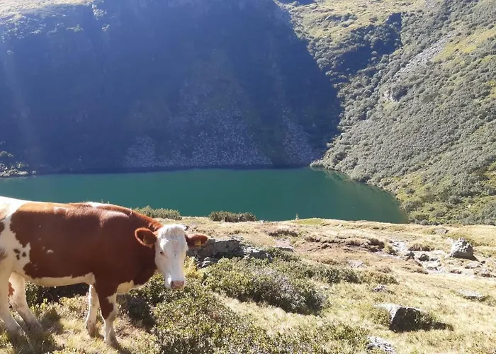 فندق Landhotel Hauserl Im Wald 4*