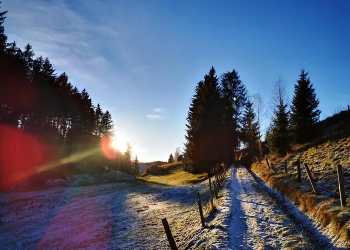 Landhotel Hauserl Im Wald فندق