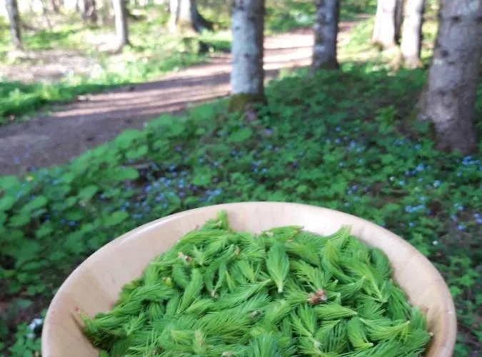 Landhotel Hauserl Im Wald فندق 4*