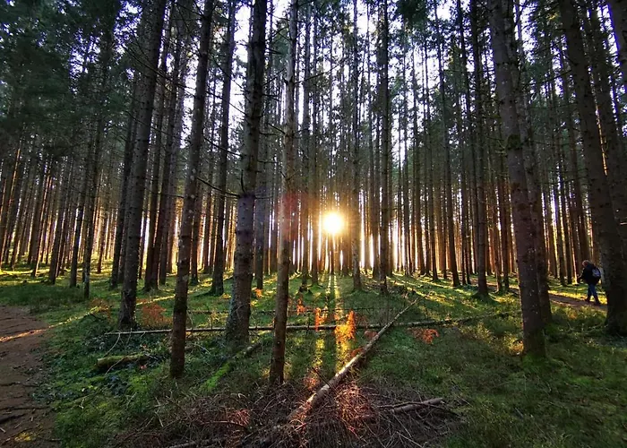 Häuserl Im Wald Hotel 4*