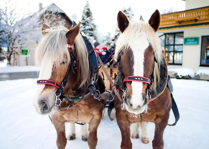 فندق Landhotel Hauserl Im Wald غوربمينغ